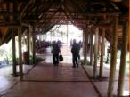 Walking towards the dining hall and the river