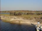 Elephants - we counted over 350 that afternoon